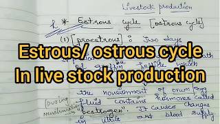 Estrous Cycle in Cows inHindi Livestock ProductionRitikas tutorial [upl. by Garcia141]