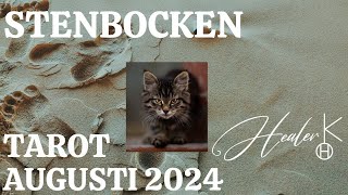 Stenbocken ♑️ Augusti 2024 Tarot  Healer K [upl. by Dnivra]