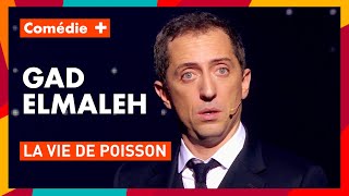 Pour Gad Elmaleh  Les poissons sont bêtes  20 ans de scène  Comédie [upl. by Eifos]