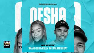 Wa khutisa  Shandesh amp 071 Nelly The Master Beat Original [upl. by Patrizius720]