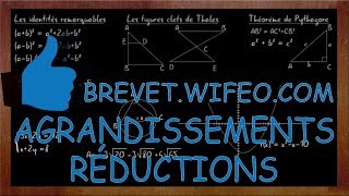 AGRANDISSEMENTS ET RÉDUCTIONS Exercice type Brevet Correction  Astuces [upl. by Almund]