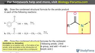 Amidation Reactions versus Amination [upl. by Clardy]