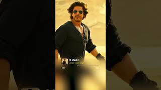 O Maahi 4k SHAHRUKH KHAN srk bollywood love yt ytshorts viralshorts trending shorts [upl. by Tades]