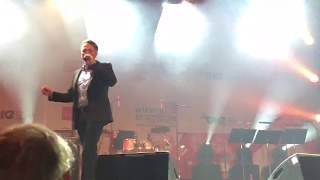 Martin Pasching  Tango KorruptiDonauinselfest 2018 [upl. by Brandais]