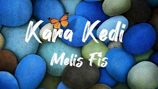 Melis FisKara KediLyrics [upl. by Dutch]