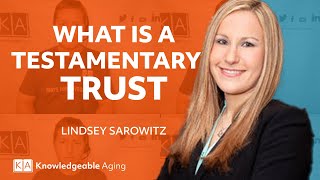 Understanding Testamentary Trusts [upl. by Nidnerb997]