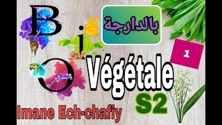 Cours de Biologie Vegetale les thallophytes s2 [upl. by Briney415]