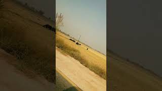 Itran di sheeshi punjabiculture plz subscribe [upl. by Horvitz]