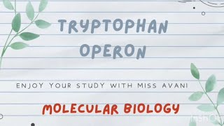 Tryptophan Operon Molecular Biology [upl. by Amand]