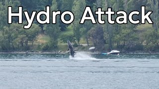 Hydro Attack at Queenstown [upl. by Etyam657]