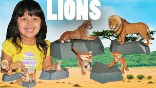 Schleich Lion Playset Animal Toys 4 Lions Safari Zoo Learn Animals [upl. by Ytsud]