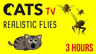 CAT TV  3D Flies 🪰 for cats to watch  3 HOURS [upl. by Zysk491]