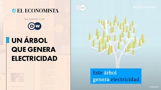 Un árbol que genera electricidad [upl. by Ahsaelat661]