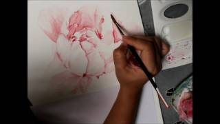 How to Paint a Peony Watercolor Painting Process [upl. by Gannes214]