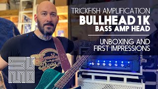 Trickfish Amplification Bullhead 1K First Impressions [upl. by Natal442]