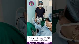 Ovum pickup OPU at Parency IVF Hospital [upl. by Nared]