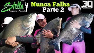 Pesqueiro Stella Parte 2 Réveillon Casal 30 Fishing muitos peixes [upl. by Pavlish]