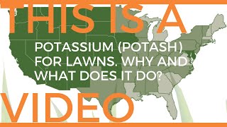 Potash Potassium K for lawns How much do I need and Why [upl. by Sicnarf]