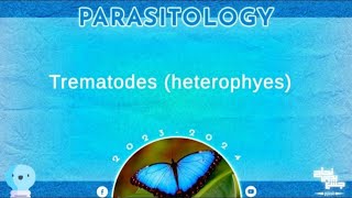 L2 Introduction to trematodes heterophyes Parasitology [upl. by Ecerehs295]