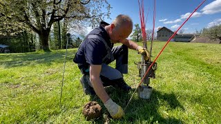 Astuce agricole  le piège à campagnols [upl. by Ahsertal]