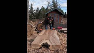 Chainsaw Milled a Huge Silver Maple Log Future Live Edge Maple Desktops chainsawmill desktops [upl. by Erina]