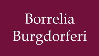 How to Pronounce Borrelia Burgdorferi Correctly in German [upl. by Meil]