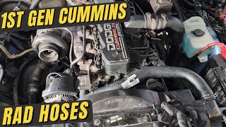 Radiator Hoses  1st Gen Cummins [upl. by Donohue117]