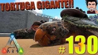 ARK TAMEAMOS TORTUGA GIGANTE ARCHELON BUSCA CAPTURA NUEVO ANIMAL SURVIVAL EVOLVED GAMEPLAY ESPAÑOL [upl. by Werdnael105]