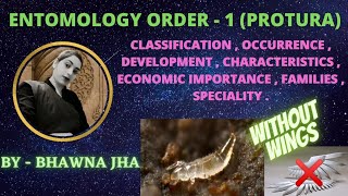 Apterygota order  Protura  BY  BHAWNA JHA [upl. by Yemorej]