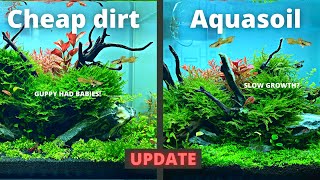 CHEAP DIRT vs EXPENSIVE AQUASOIL 2 MONTH UPDATE [upl. by Eerrehc21]