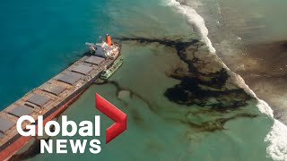 Mauritius oil spill Experts fear catastrophic ecological disaster [upl. by Clapp]