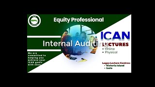 Internal Auditing Class 1 [upl. by Scully808]