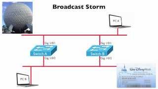 Broadcast Storm CCNA Complete Video Course Sample [upl. by Laekcim878]