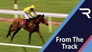 Smart horse Triumph Hurdle hope PORTICELLO bolts up by 17 lengths at Haydock  Racing TV [upl. by Aliak]