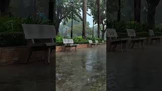 10 hours heavy rain in the park rain asmr asmr [upl. by Jed]