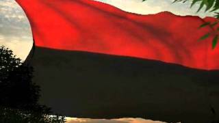 Himna na VMRO  Anthem of IMRO [upl. by Eselehs48]