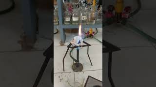 InorganicChemistryPractical BSC 2nd year1st stepCrucible heating 20 min 3 timeweight1842g [upl. by Enneiluj179]