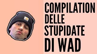 TUTTE LE STUPIDATE DI WAD  ECCO PERCHÈ È ODIATO [upl. by Wenda]