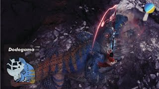 Climbing the food chain with LONG SWORD 11  Dodogama [upl. by Alexio]