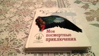 Обзор книги quotМои посмертные приключенияquot [upl. by Ybocaj]