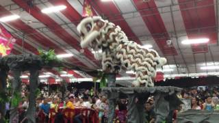 Lion Dance Performance by Singapore Teng Ghee [upl. by Ylrac873]