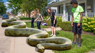 Do We Have The Worlds Largest Green Anaconda [upl. by Eadahs]