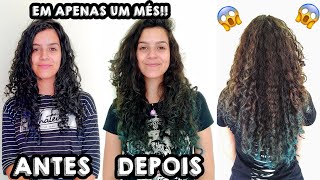 COMO FIZ PRA DAR VOLUME E CRESCER MEU CABELO [upl. by Leaper819]