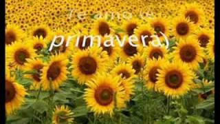 Primavera  Tim Maia [upl. by Ahtel646]