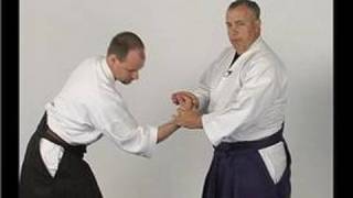 Kotegaieshi Basic Aikido Techniques  Kotagaeshi Wrist Lock from a Straight Punch [upl. by Yeltneb]