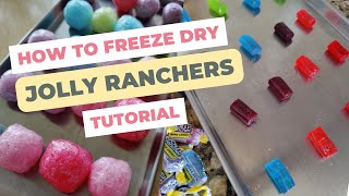 How to make freeze dried candy at home [upl. by Ial]