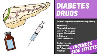 Diabetes Medication Explained  Diabetes Drugs Mechanism Side Effects and Classification [upl. by Yenial30]