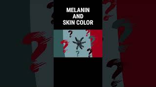 How Does Melanin Affect Skin Color shorts melanin [upl. by Petigny752]