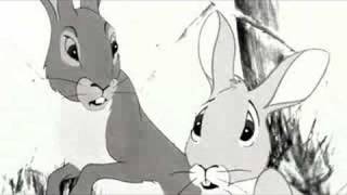 Watership Down  Tribute To Fiver [upl. by Ariay]