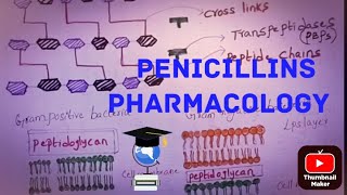 penicillins l beta lactam antibiotics l pharmacology l Bpharmacy pharm D physiotherapy chemotherapy [upl. by Wagoner]